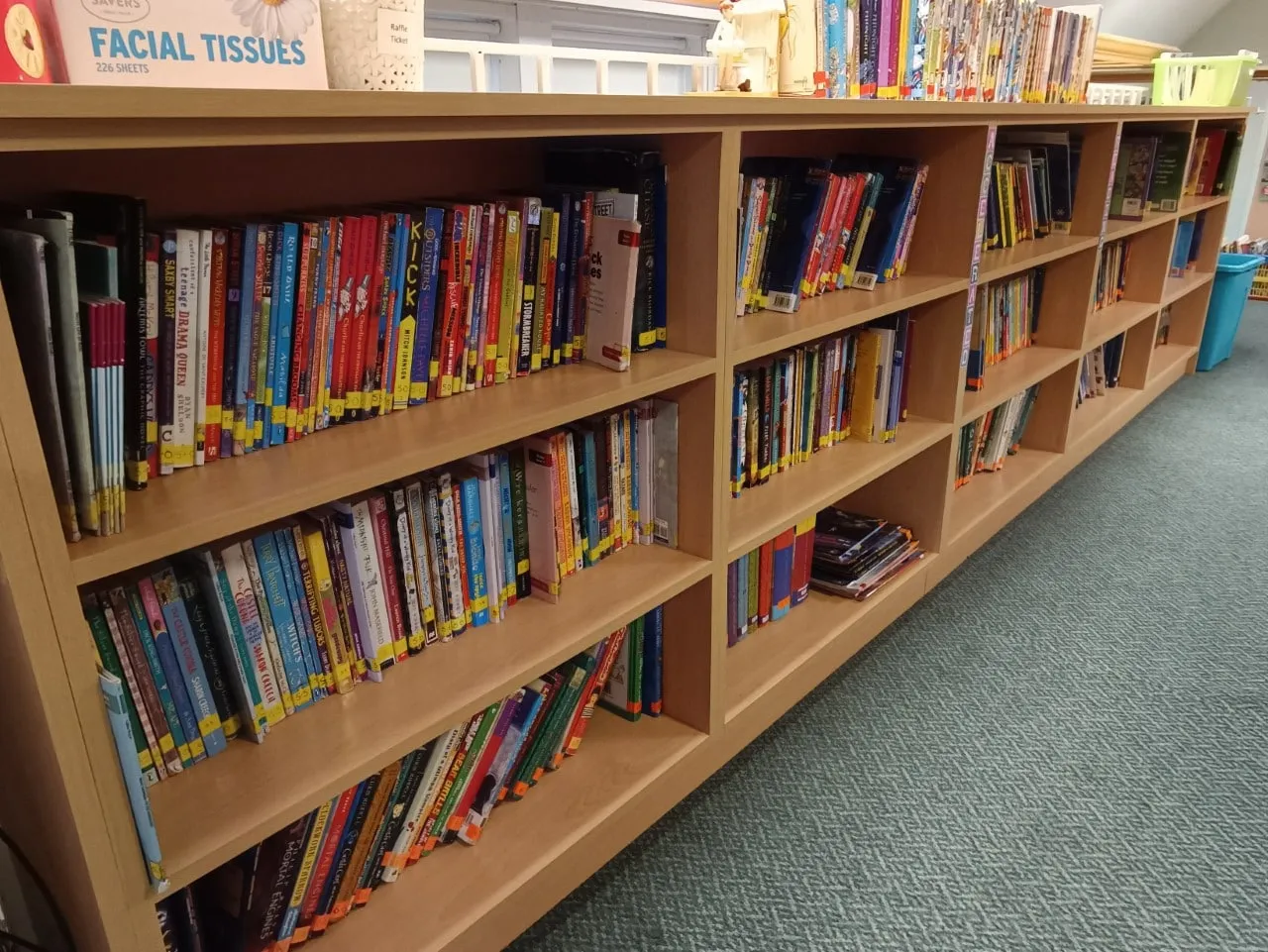 Shelves of books in a library