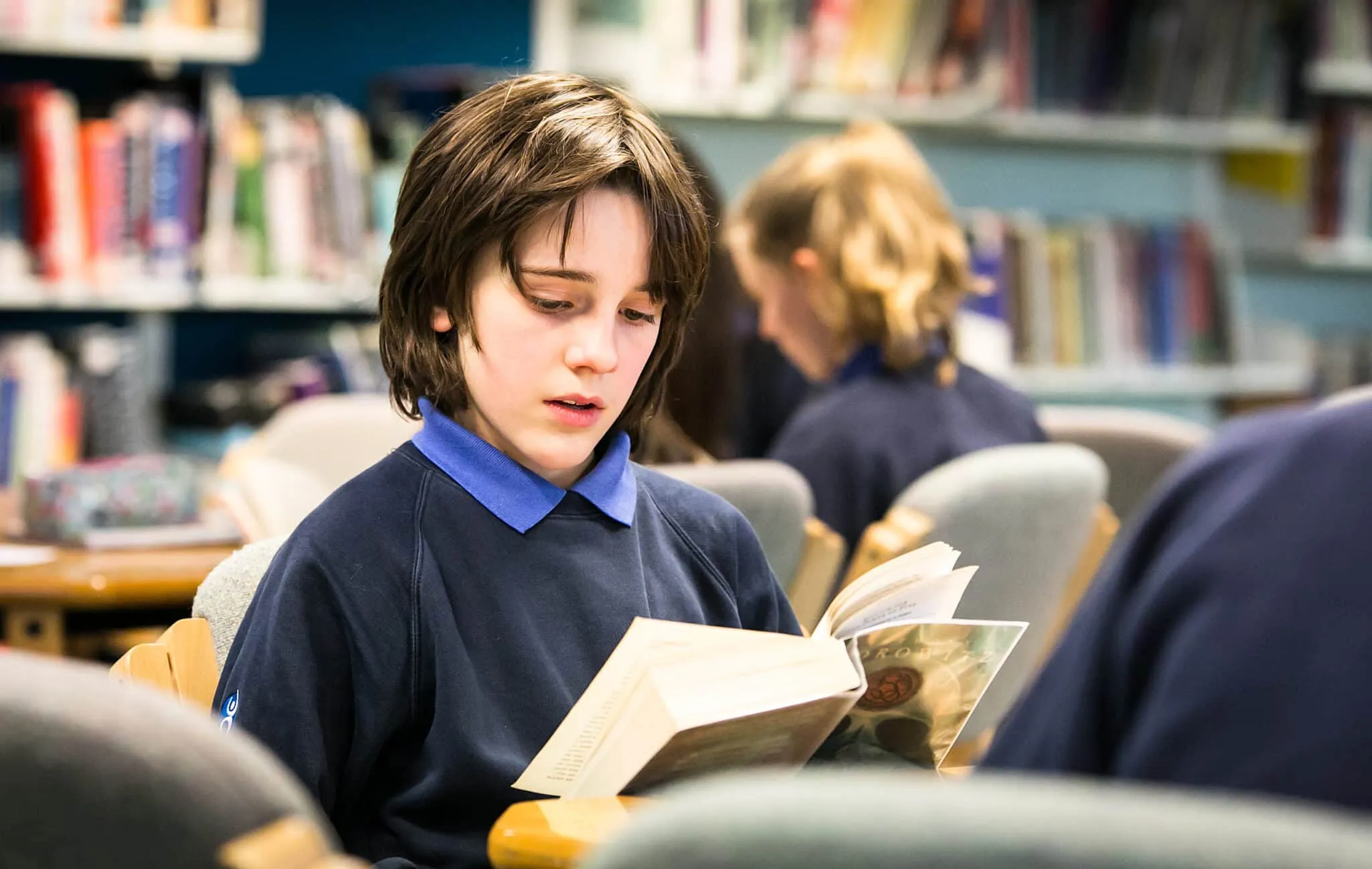 Hero image for the Favourite Books in Primary and Secondary Schools page