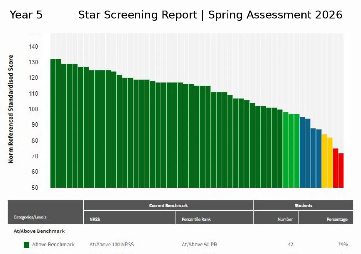 School Network Screening Report